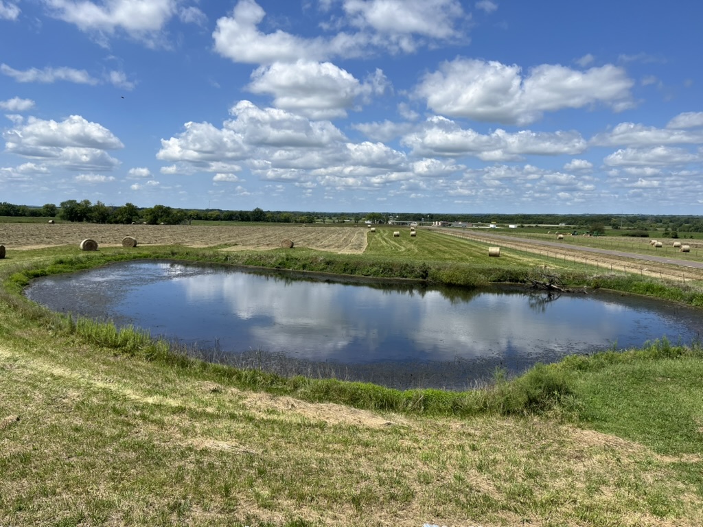 Main pond before dredging